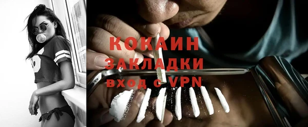 индика Алексин