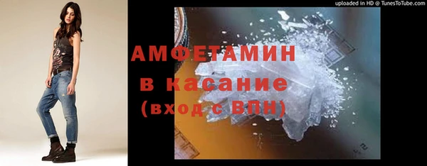 индика Алексин