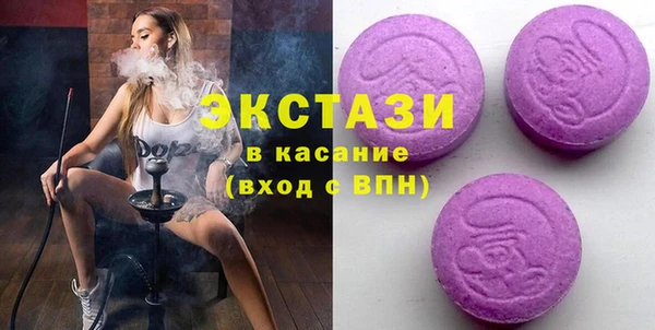 индика Алексин