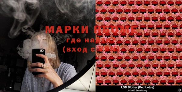индика Алексин